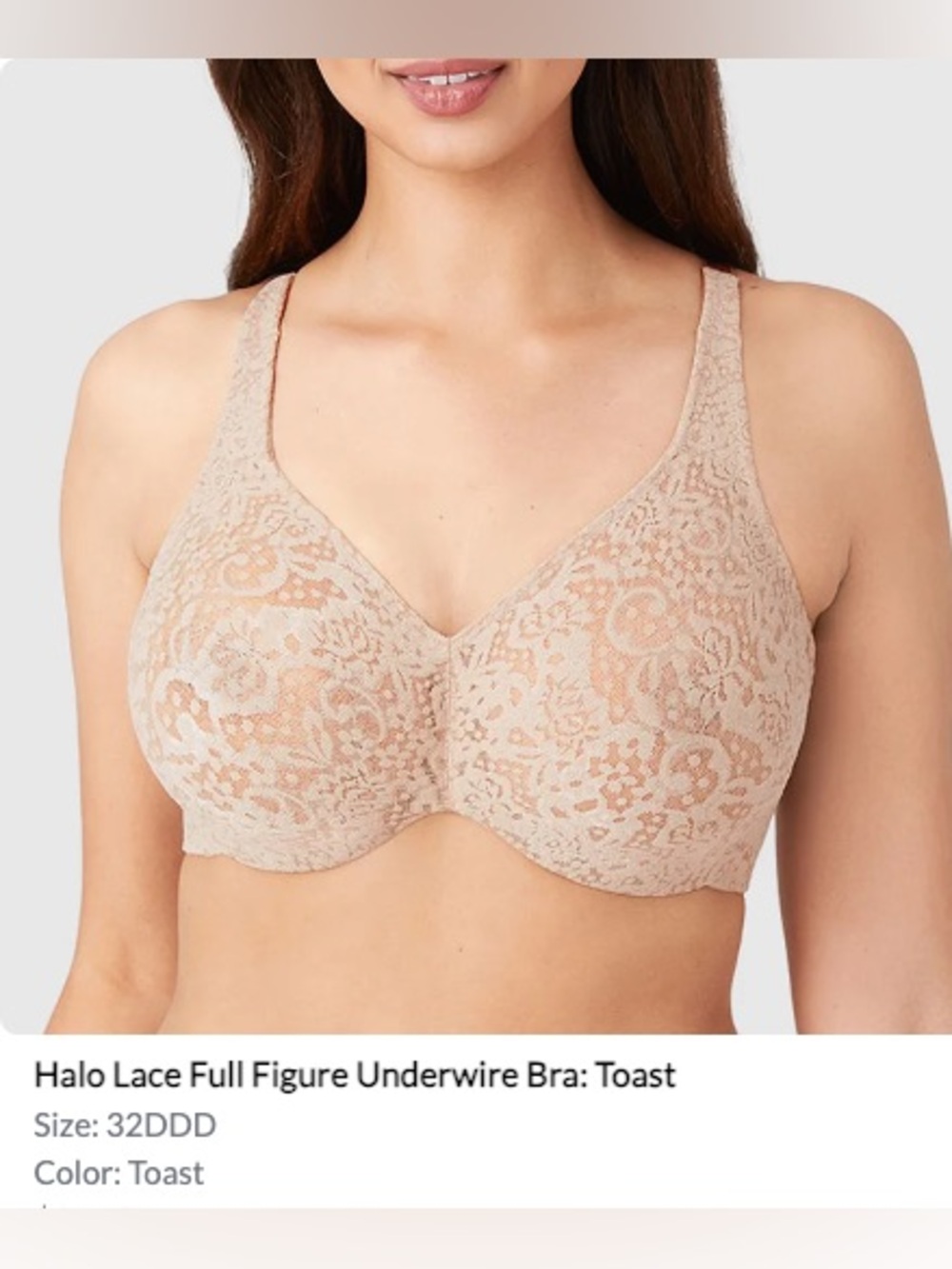 Wacoal Lace Full-Figure Underwire Bra in Toast 32DDD